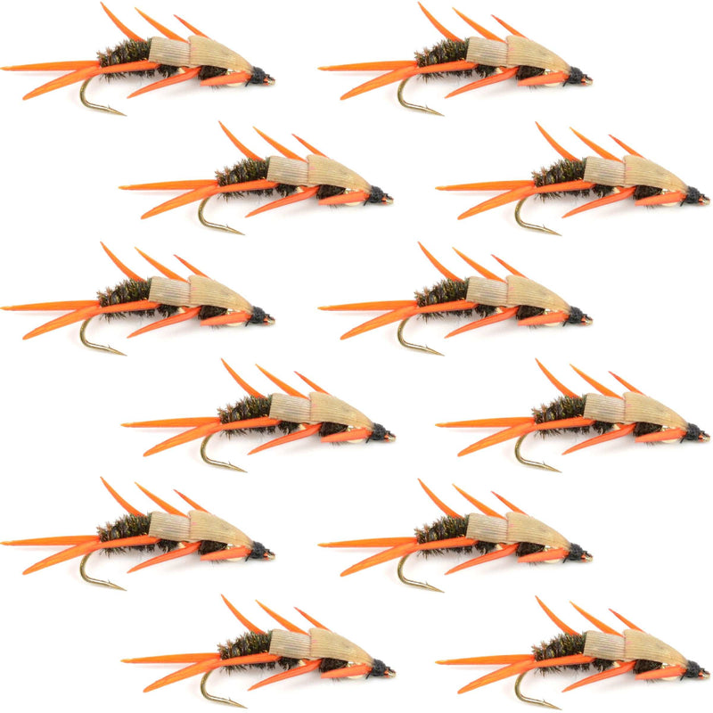 Load image into Gallery viewer, Double Bead Peacock Stonefly Nymph with Amber Biot Legs Fly Fishing Flies - 1 Dozen Flies Hook Size 8
