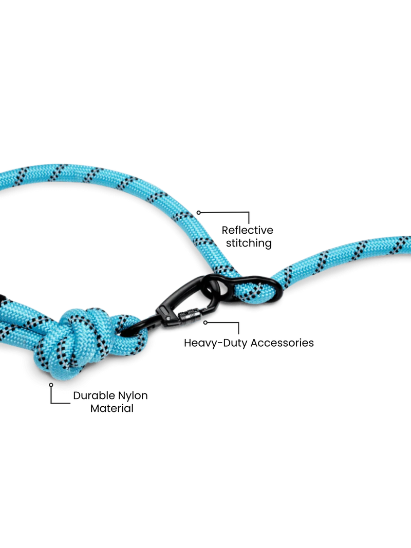 Load image into Gallery viewer, Aqua Blue Running Hands-Free Dog Leash
