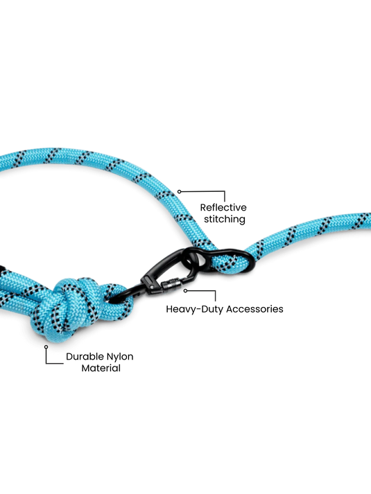 Aqua Blue Running Hands-Free Dog Leash