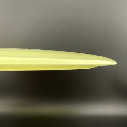Proto Glow Champion Tern