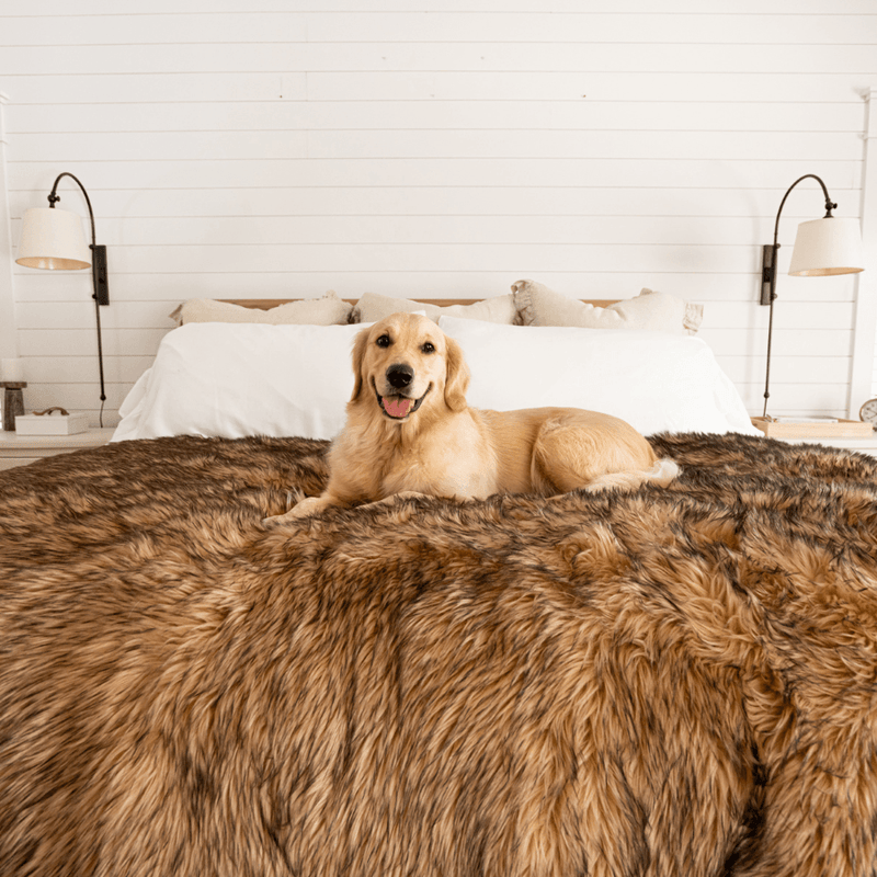 Load image into Gallery viewer, PupProtector™ Waterproof Throw Blanket - Sable Tan

