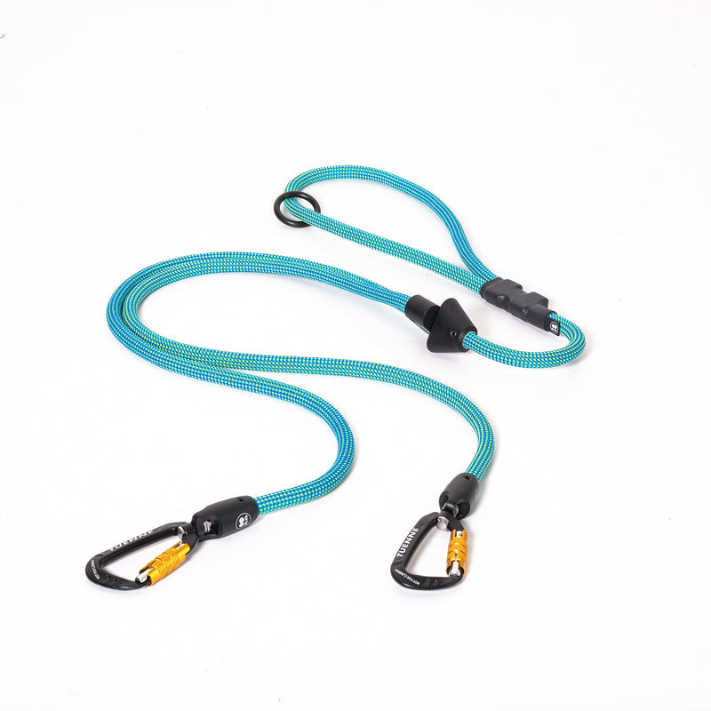 Load image into Gallery viewer, 2-in-1 Game Changer Dog Leash
