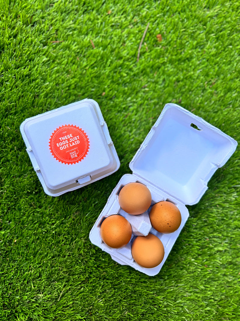 Load image into Gallery viewer, &quot;Just Got Laid&quot; 4-Egg Carton
