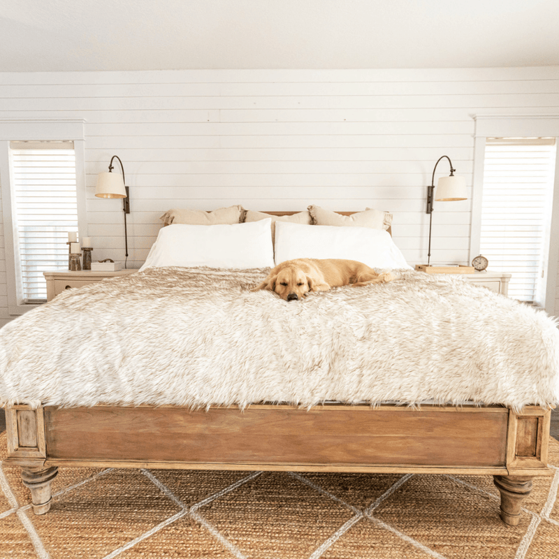 Load image into Gallery viewer, PupProtector™ Waterproof Throw Blanket - White with Brown Accents
