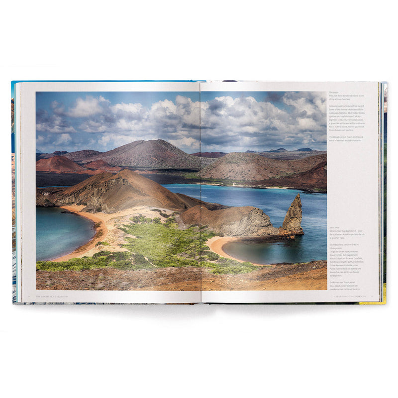 Load image into Gallery viewer, The World
