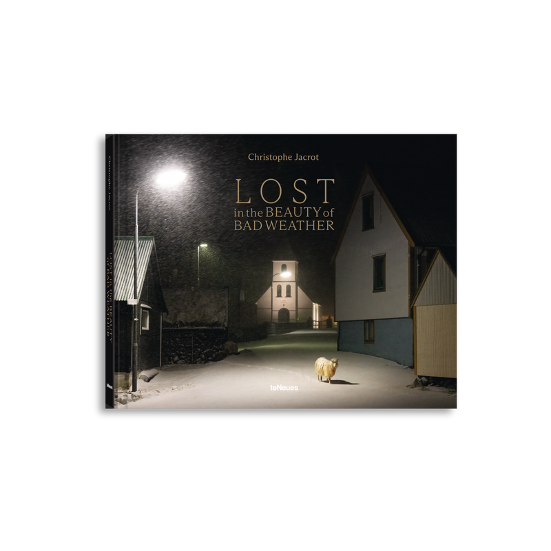 Load image into Gallery viewer, Lost in the Beauty of Bad Weather
