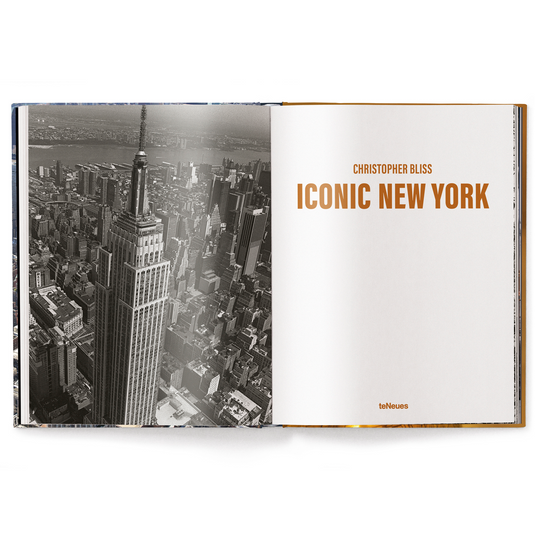 Iconic New York