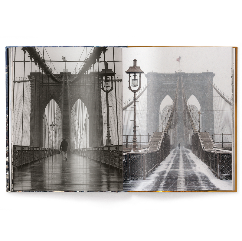 Load image into Gallery viewer, Iconic New York
