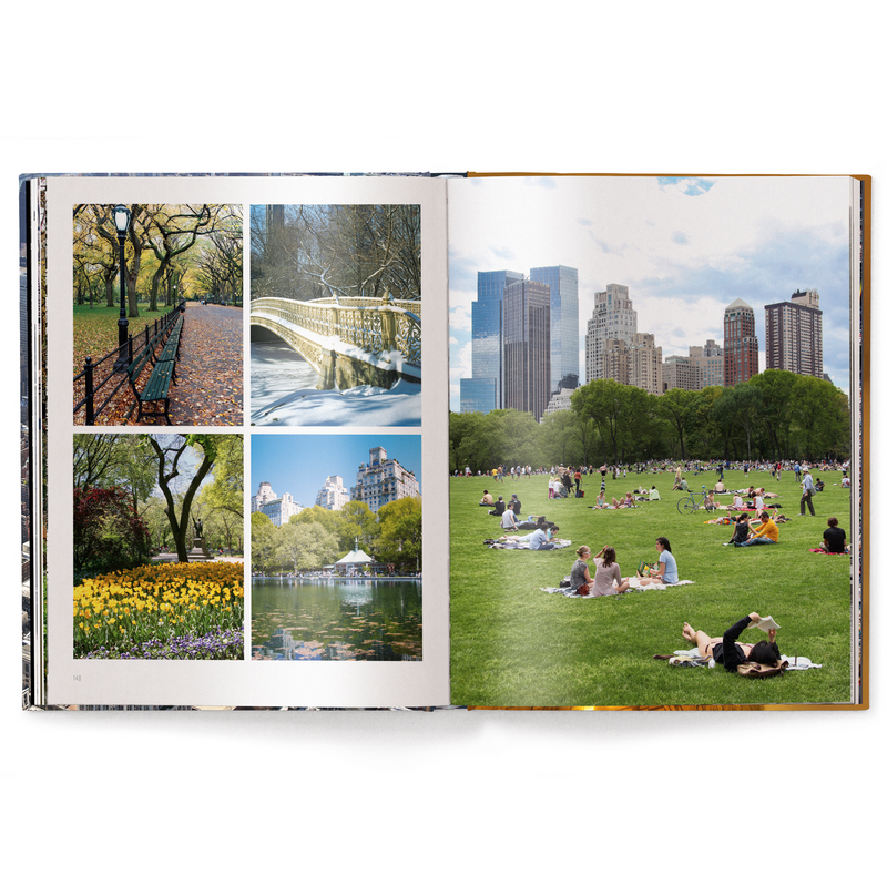 Load image into Gallery viewer, Iconic New York
