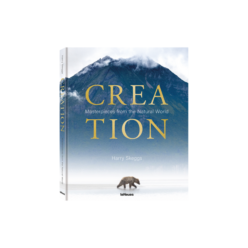 Load image into Gallery viewer, Creation
