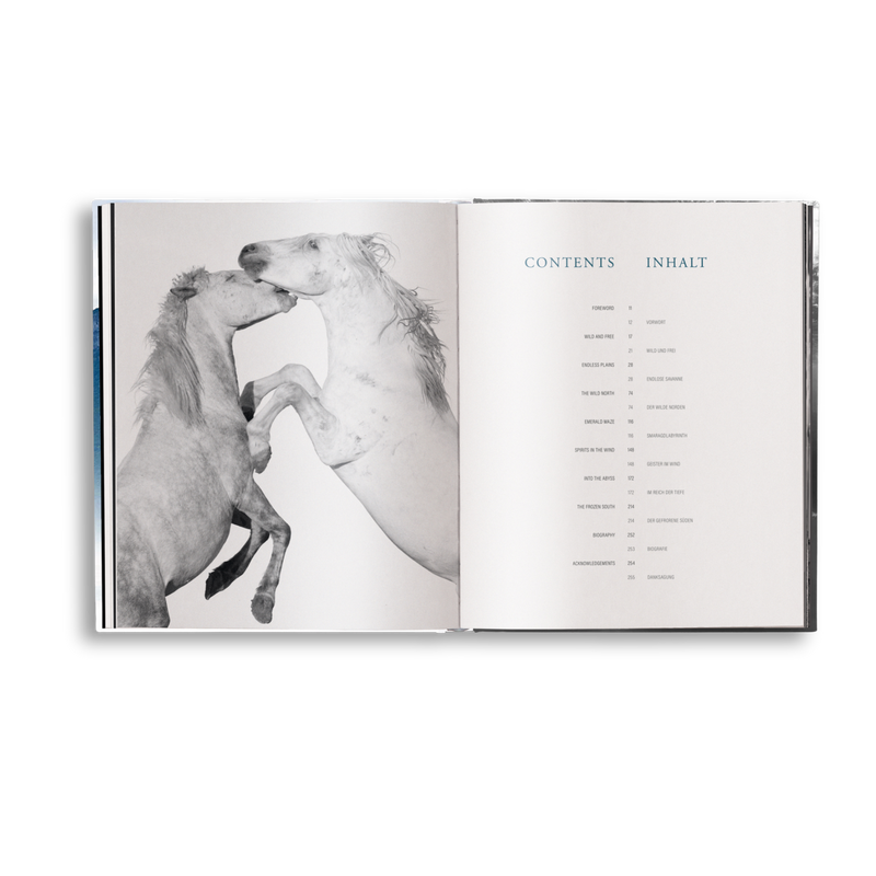 Load image into Gallery viewer, Creation
