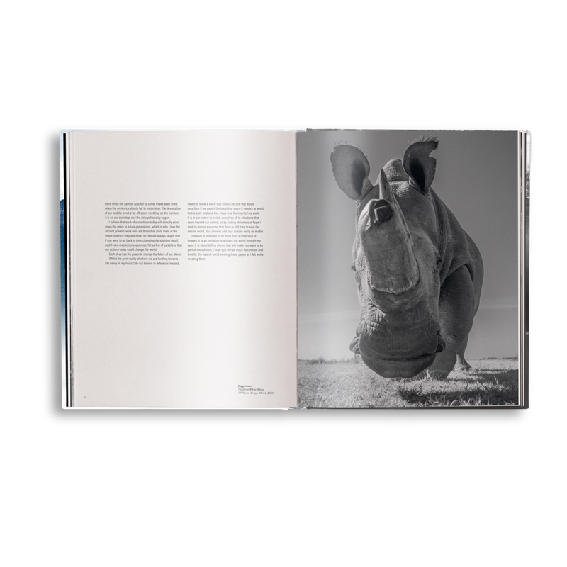 Load image into Gallery viewer, Creation
