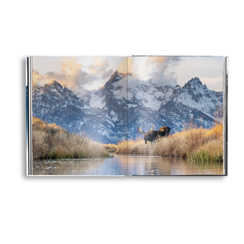 Load image into Gallery viewer, Creation
