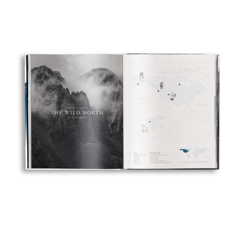 Load image into Gallery viewer, Creation
