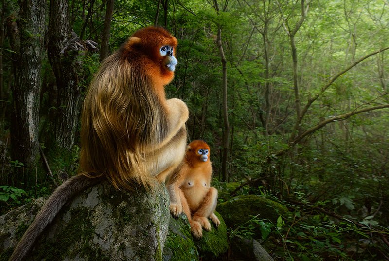 Load image into Gallery viewer, Mother
