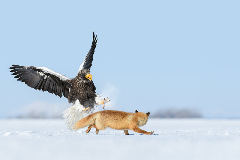 Load image into Gallery viewer, Mother
