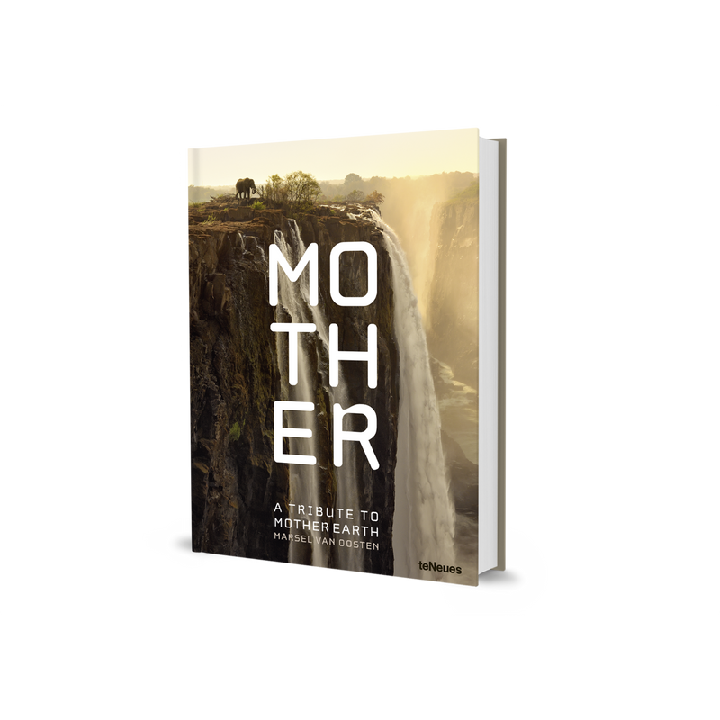 Load image into Gallery viewer, Mother
