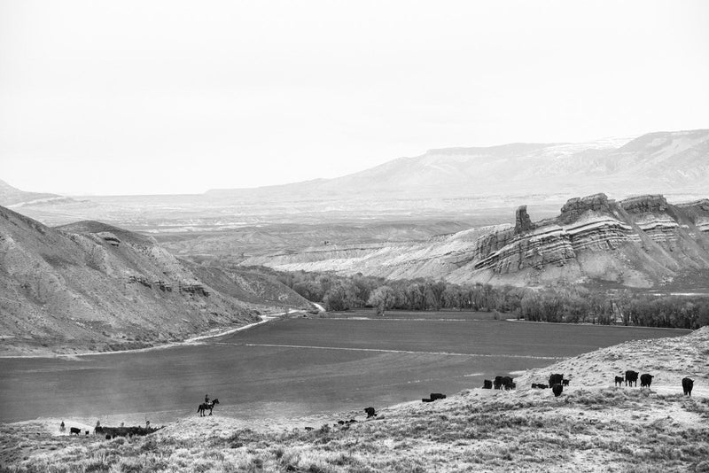 Load image into Gallery viewer, A Ranch Year
