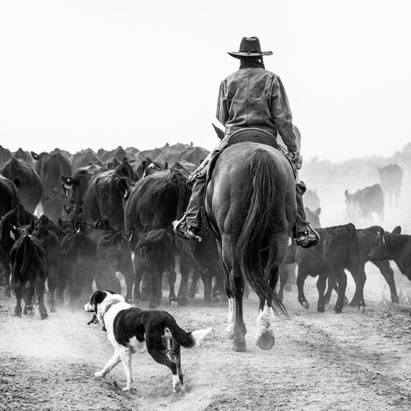 Load image into Gallery viewer, A Ranch Year
