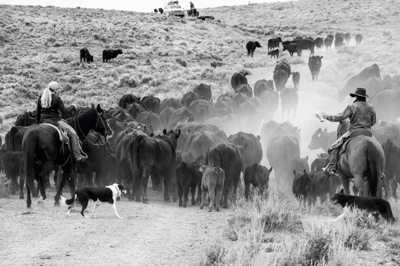 Load image into Gallery viewer, A Ranch Year
