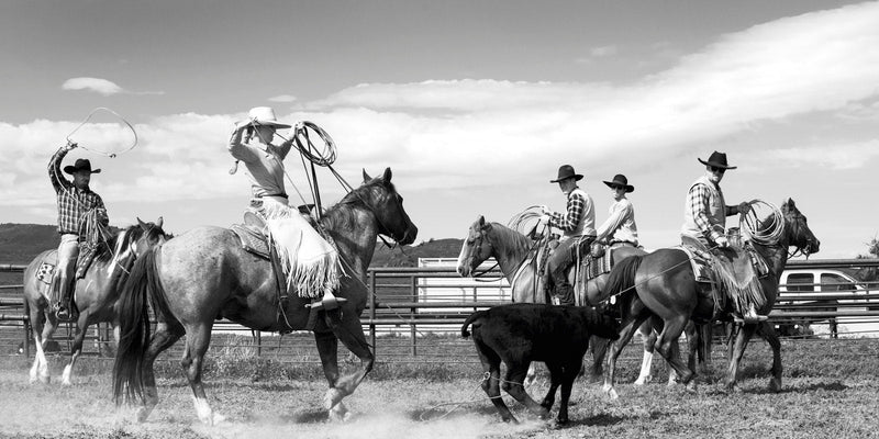 Load image into Gallery viewer, A Ranch Year
