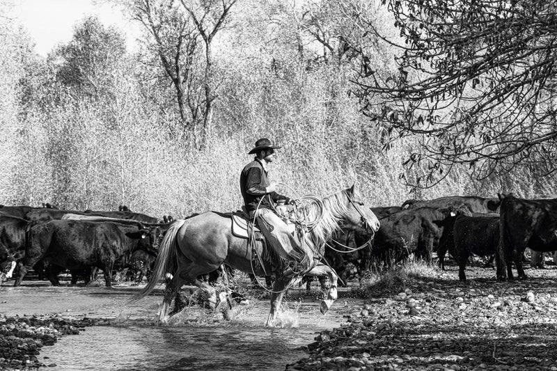 Load image into Gallery viewer, A Ranch Year
