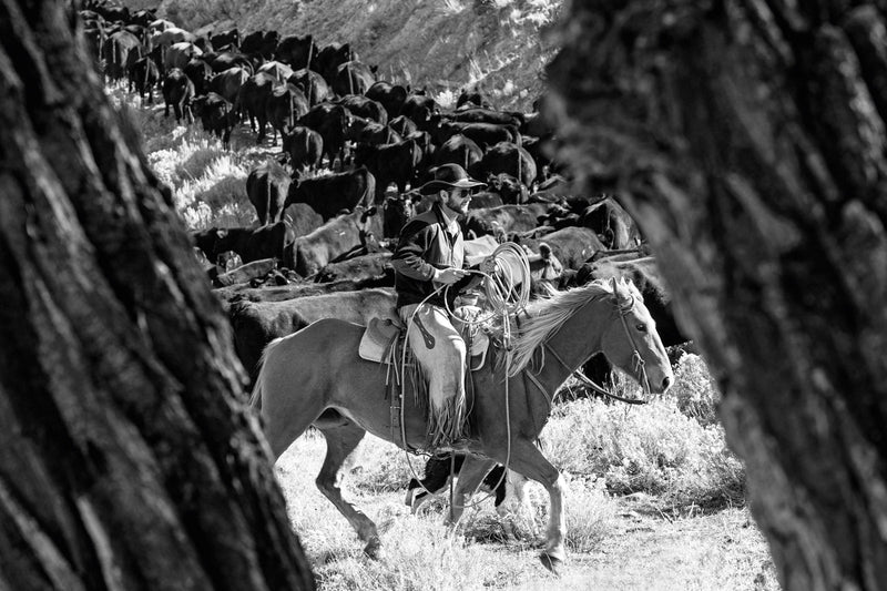 Load image into Gallery viewer, A Ranch Year
