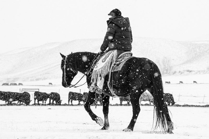 Load image into Gallery viewer, A Ranch Year
