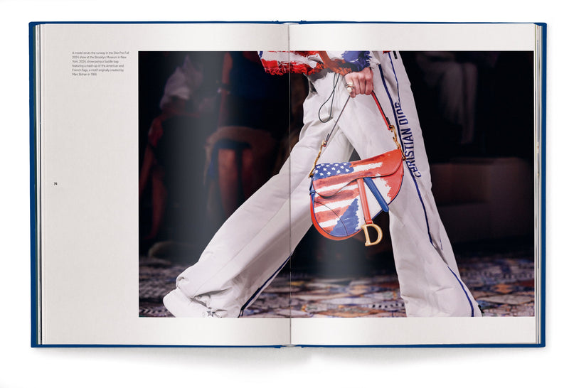 Load image into Gallery viewer, The Ultimate Guide to Dior Bags
