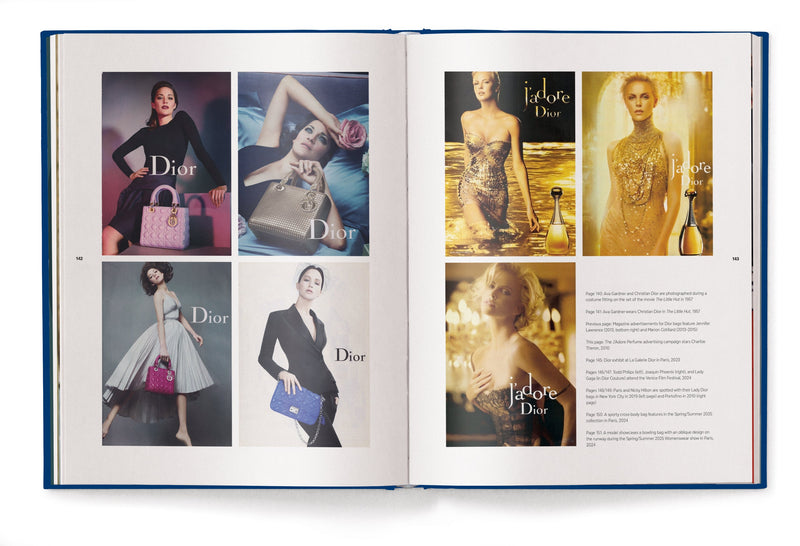 Load image into Gallery viewer, The Ultimate Guide to Dior Bags
