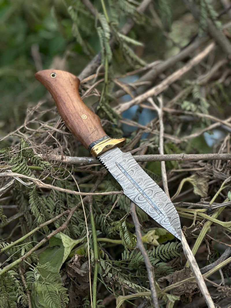 Load image into Gallery viewer, Hunting Blade – 10" Damascus Steel Knife with Rosewood Handle, Brass Guard &amp; Leather Sheath
