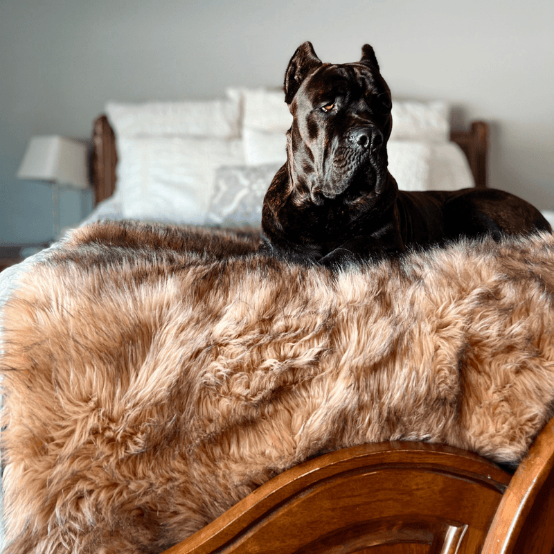 Load image into Gallery viewer, PupProtector™ Waterproof Throw Blanket - Sable Tan
