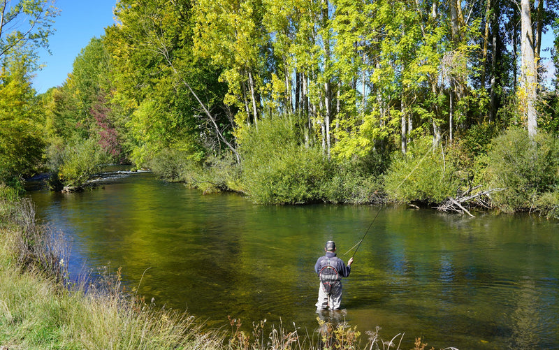 Load image into Gallery viewer, 3 Pack Kaufmann&#39;s Orange Crystal Stimulator Hook Size 16 Rubber Legs Dry Flies
