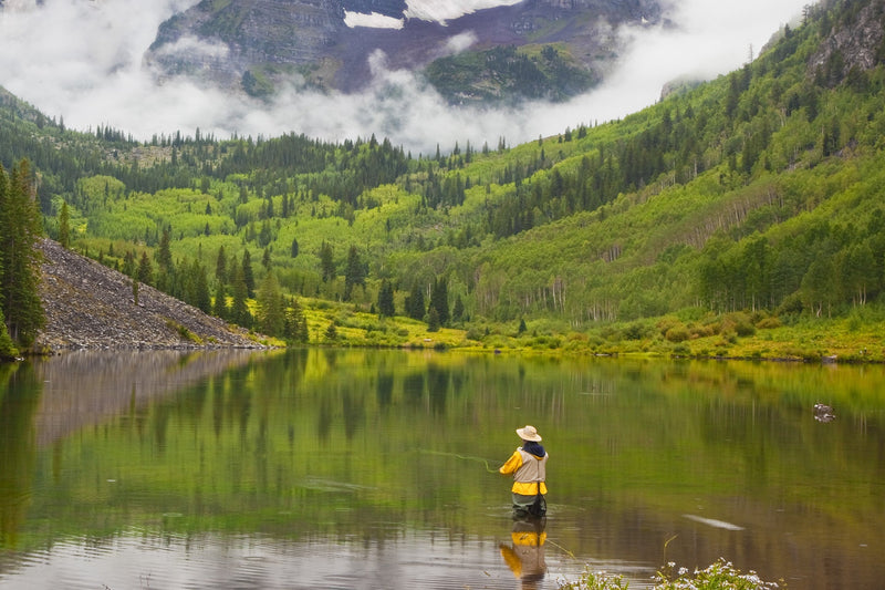 Load image into Gallery viewer, 3 Pack Bead Head Flashback Pheasant Tail Nymph Fly Fishing Flies Hook Size 12
