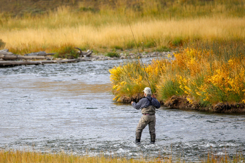 Load image into Gallery viewer, 3 Pack Double Bead Black Biot Legs Gold Ribbed Hare&#39;s Ear Nymph Fly Fishing Flies Hook Size 8
