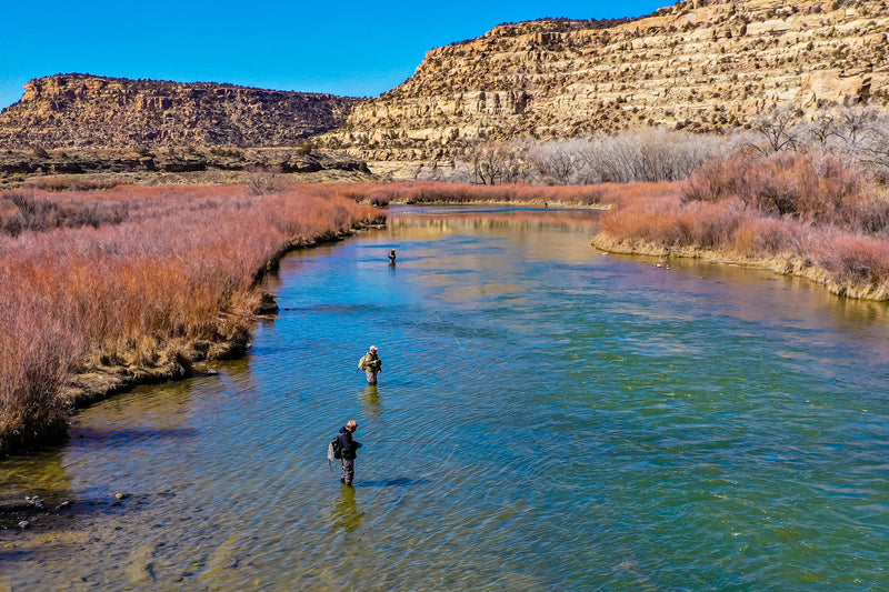 Load image into Gallery viewer, 3 Pack Feth Hopper Yellow - Foam Grasshopper Fly Pattern - Hook Size 10

