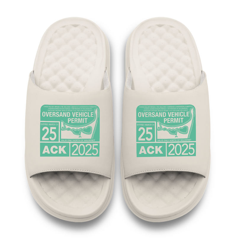 Load image into Gallery viewer, Nantucket Permit Primary Motive
