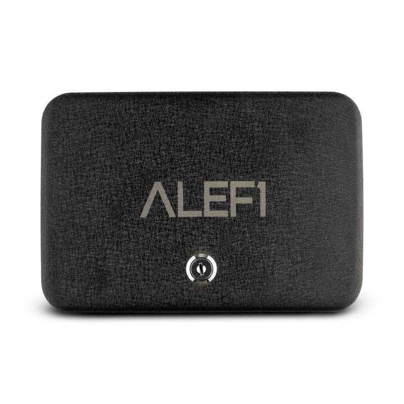 Load image into Gallery viewer, Metal Storage - Lock Box
