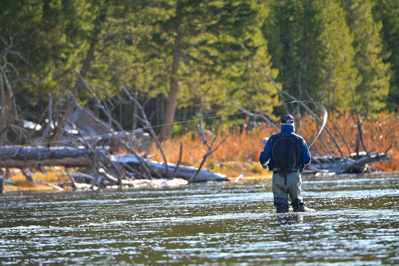 Load image into Gallery viewer, 3 Pack Tungsten Bead Hot Spot Purple Perdigon Tactical Jig Spanish Czech Euro Nymph Fly - Hook  Size 14

