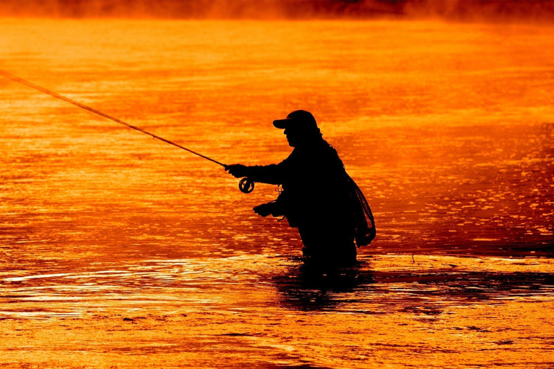 Load image into Gallery viewer, 3 Pack Orange Beaded Shrimp Scud Pattern - Size 12 - Tailwater Lake Fly Fishing Nymph Flies
