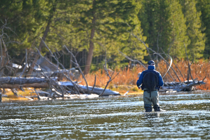 Load image into Gallery viewer, 3 Pack Kaufmann&#39;s Yellow Crystal Stimulator Rubber Legs Dry Fly - Hook Size 14

