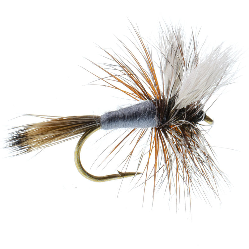 Load image into Gallery viewer, Adams Wulff Classic Dry Fly 1 Dozen Flies  Hook Size 12
