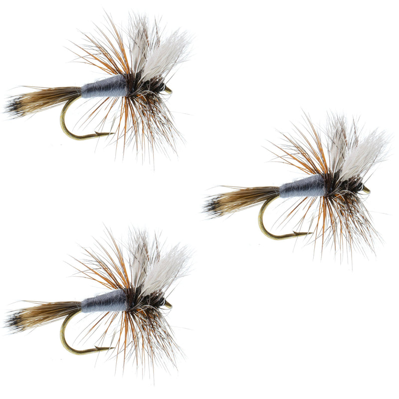 Load image into Gallery viewer, 3 Pack Adams Wulff Classic Dry Fly - Hook Size 10
