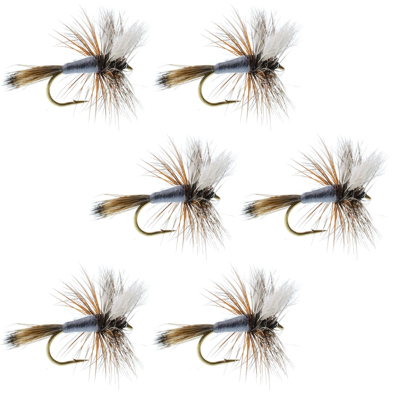 Load image into Gallery viewer, Adams Wulff Classic Dry Fly - 6 Flies - Hook Size 10
