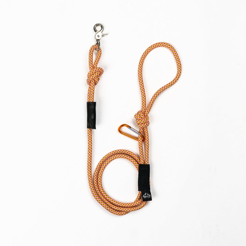 Load image into Gallery viewer, 7MM Adventure Kernmantle Rope Dog Leash
