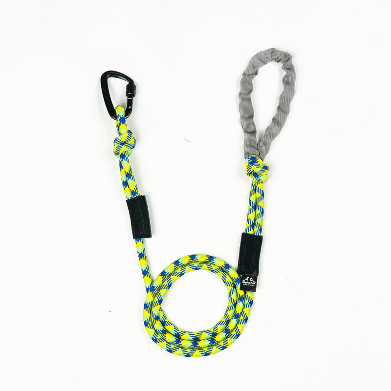 Load image into Gallery viewer, 10MM Adventure Kernmantle Rope Dog Leash

