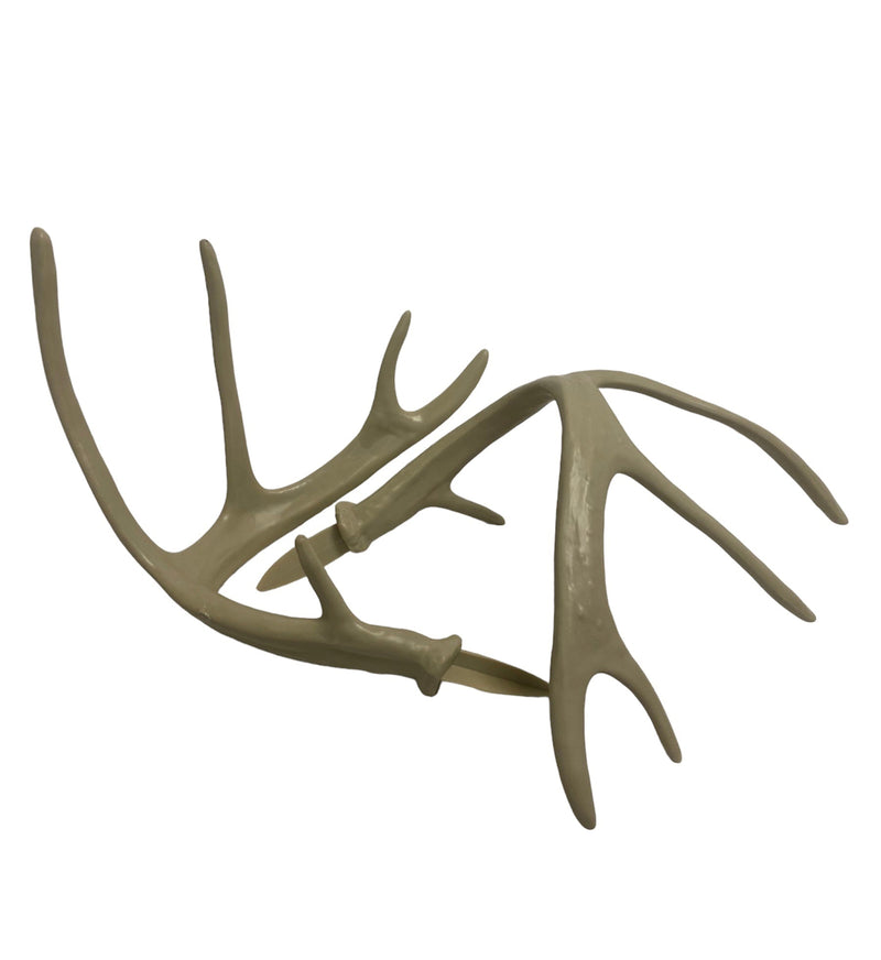 Load image into Gallery viewer, Whitetail Deer Replacement Antlers

