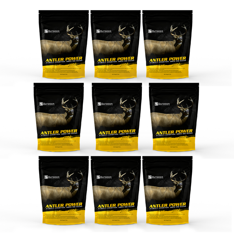 Load image into Gallery viewer, Antler Power Deer Mineral
