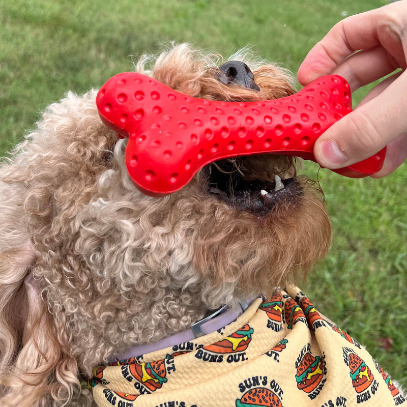 Load image into Gallery viewer, Arlo's Favorite Rubber Bone
