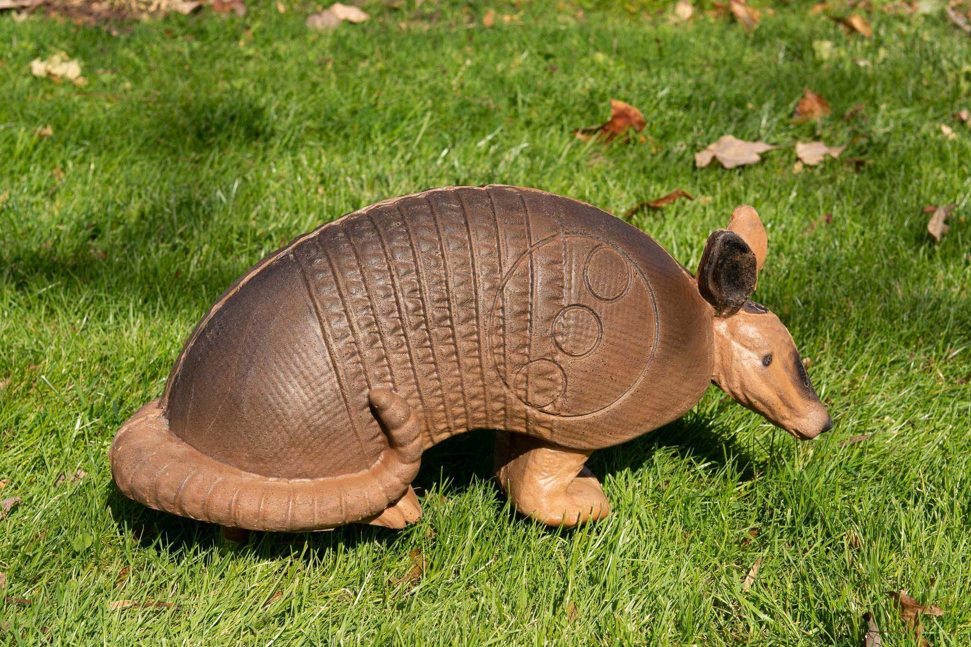 Real Wild Competition Armadillo Archery Target with EZ Pull Foam - Skoutley Outdoors LLC